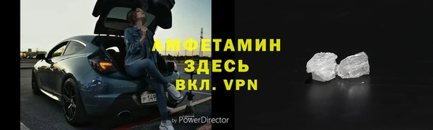 стаф Новозыбков