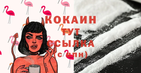 spice Кодинск