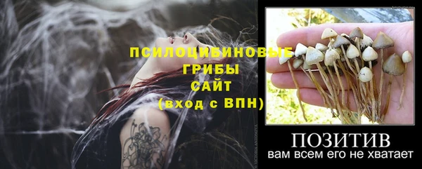 Альфа ПВП Козловка